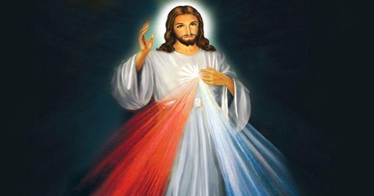 من الجراح إلى الرحمة: "لقاء يبدّل الحياة"